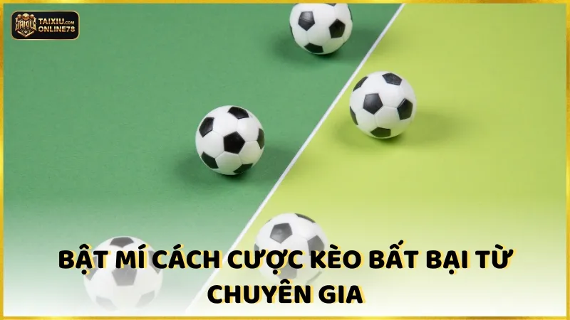 Cách đọc kèo bóng đá tài xỉu cho tân cược thủ